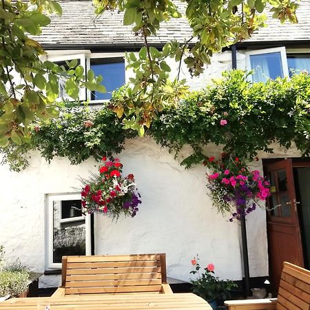 Steps Farmhouse B&B Minehead Kültér fotó