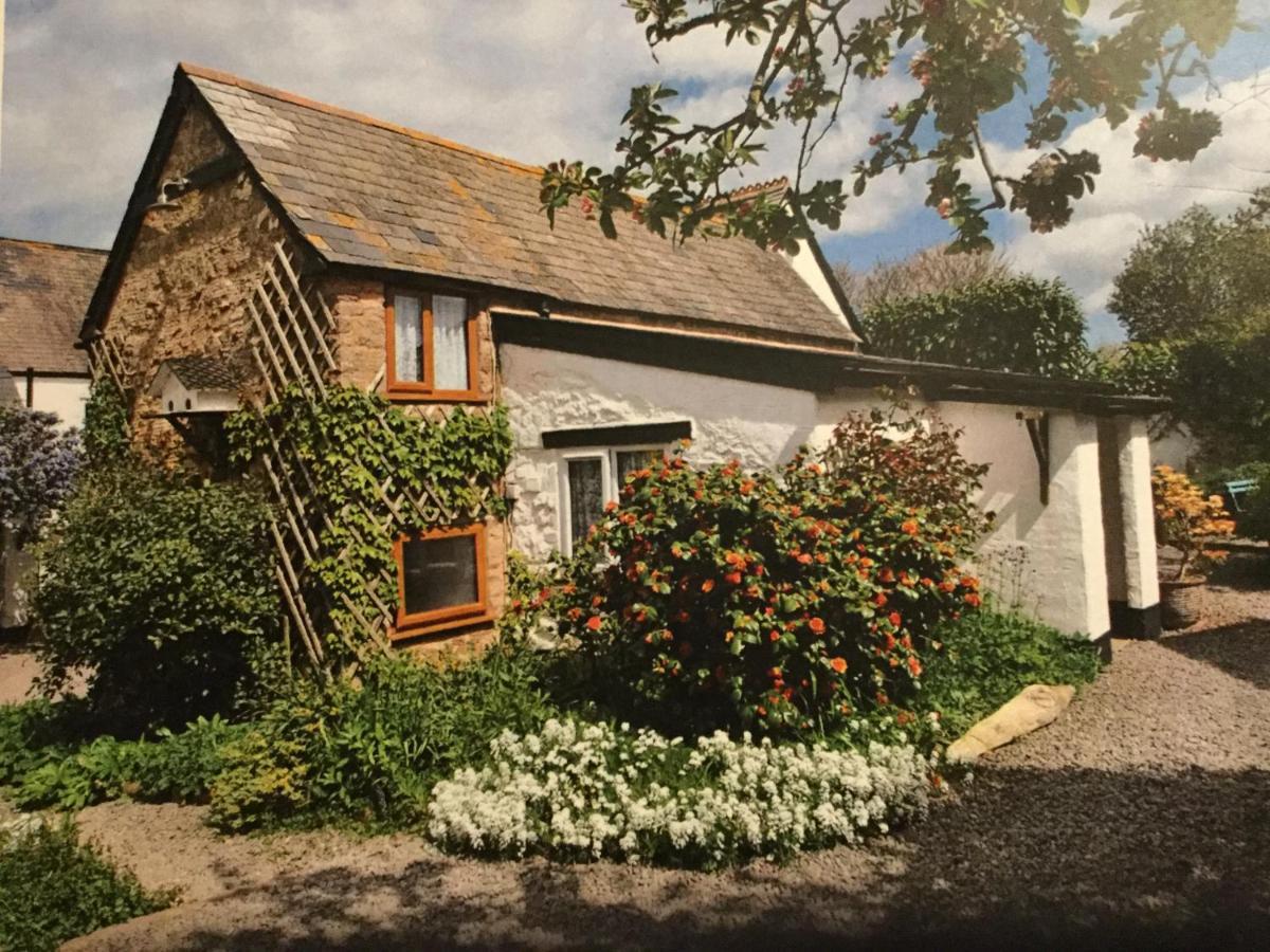 Steps Farmhouse B&B Minehead Kültér fotó