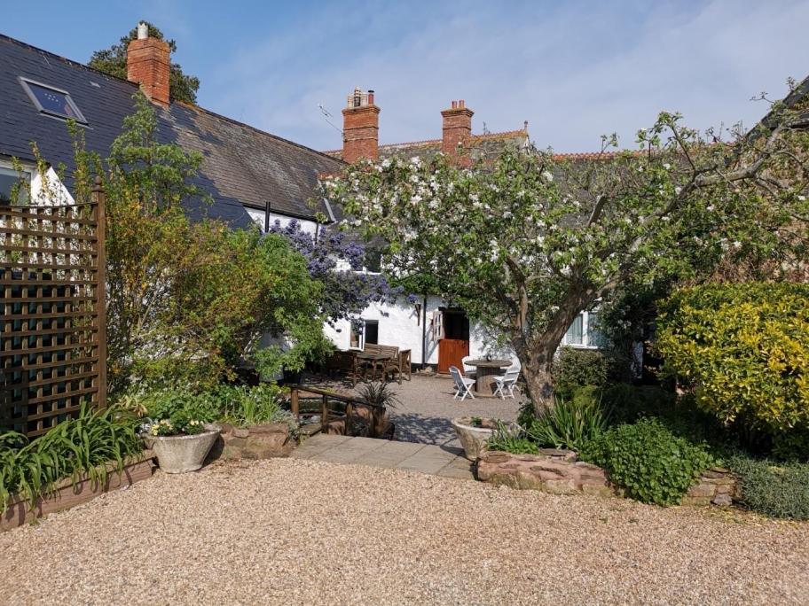 Steps Farmhouse B&B Minehead Kültér fotó