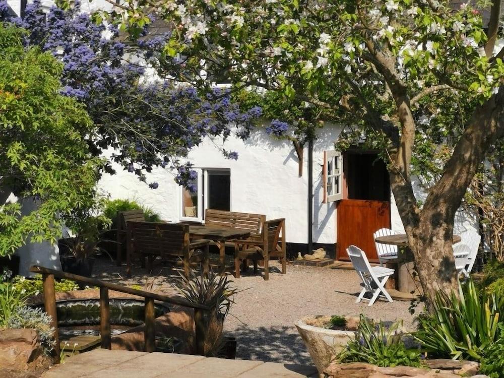 Steps Farmhouse B&B Minehead Kültér fotó